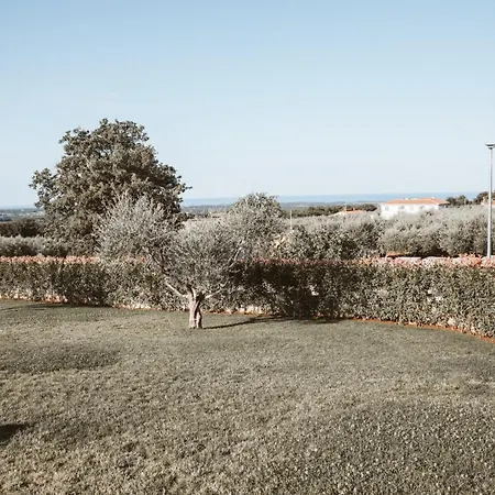 Claudia Casa de Férias *